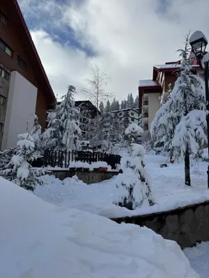 a garden covered in snow next to a building at Lucky SP apartments -Pamporovo in Bŭnzareto
