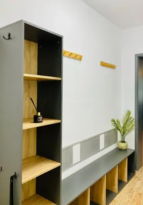 a black and wooden bookcase in a room with a potted plant at Spacious & Classy 2BDR Apartment with 2 Baths in Plovdiv Centre in Plovdiv