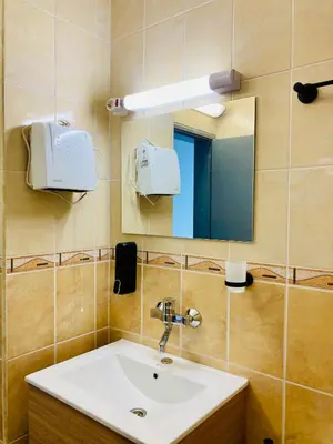 a bathroom with a sink and a mirror at Spacious & Classy 2BDR Apartment with 2 Baths in Plovdiv Centre in Plovdiv