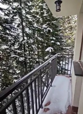 a balcony with a view of a snow covered tree at Apartment Kapina in Pamporovo