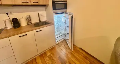 a small kitchen with a refrigerator in a room at Apartment Kapina in Pamporovo