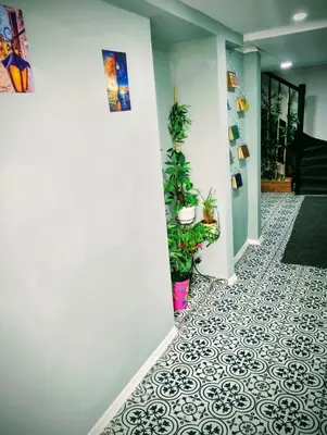 a hallway with potted plants on the floor at GuestHouse1 Karma369 in Plovdiv