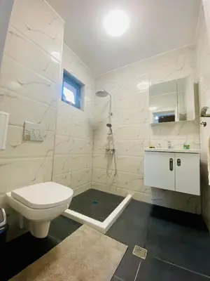 a white bathroom with a toilet and a shower at Борово ухание Говедарци Pine scent Govedartsi in Govedartsi