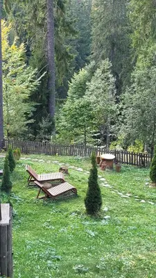 a park with two benches in the grass at Apartments Pamporovo, Green life apartment hotel in Pamporovo