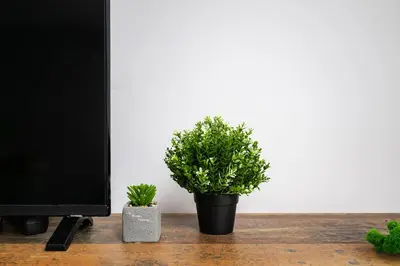 two potted plants sitting next to a tv at Stylish 1 Bedroom Apartment - Quiet & Comfortable in Sofia