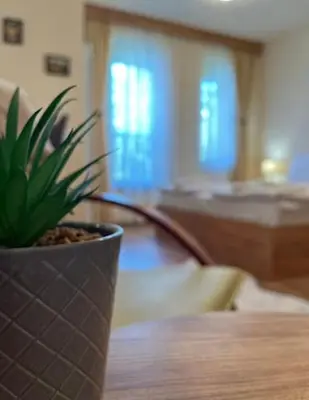 a potted plant sitting on top of a wooden table at Апартаменти за гости Алекс in Pamporovo