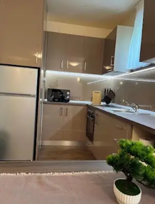 a kitchen with a refrigerator and a sink at Апартаменти за гости Алекс in Pamporovo