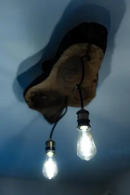 a head of a dog hanging from a ceiling with lights at 1 min from NDK and Vitoshka street in Sofia