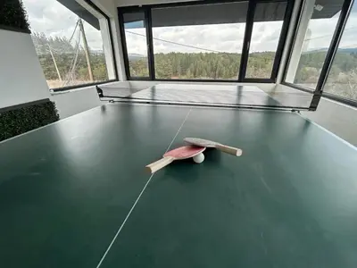 a toy turtle on the floor of a room with windows at Къща за гости Алино Хаус in Alino