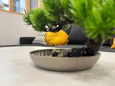 a bowl on a table with a plant on it at Luxury & Comfort near the University in Blagoevgrad