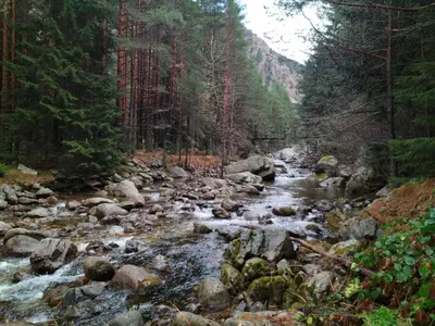 a river with rocks and trees in a forest at Sunny Studio Eagle Rock in Beli Iskar