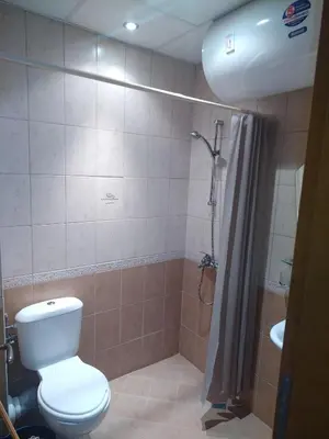a bathroom with a toilet and a shower and a sink at Sunny Studio Eagle Rock in Beli Iskar