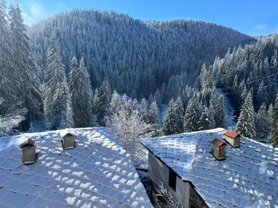a view of a snow covered mountain with trees at Къща за гости в село Проглед - комплекс Божидарица 4А in Progled