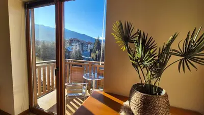 a potted plant sitting on a table next to a balcony at 3 bedroom Penthouse only 700 meters from Ski Lift in Bansko