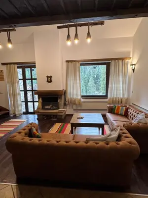 a living room with a couch and a fireplace at Къща за гости Пампорово в махала Кочорите in Pamporovo