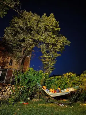a boat sitting in the grass under a tree at PORTALA Urban Lodge in Rila