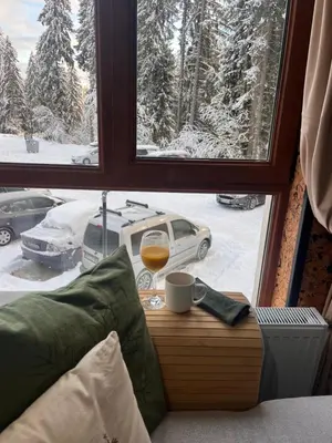 a room with a window with a glass of wine and a glass at Elizi2 winter apartments Pamporovo in Pamporovo
