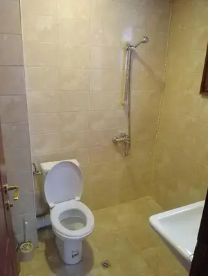 a bathroom with a toilet and a shower and a sink at Цветелина и Митко in Bansko