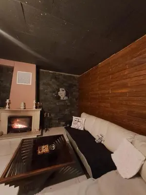 a living room with a couch and a fireplace at Цветелина и Митко in Bansko