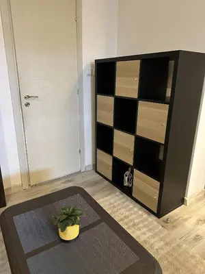 a room with a dresser and a plant on a rug at Aurora Apartment in Bansko