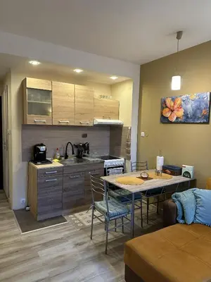 a kitchen and living room with a table and a couch at Aurora Apartment in Bansko