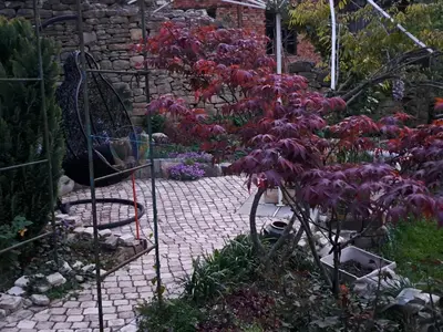 a garden with purple flowers and a brick pathway at River Garden in Beli Osŭm
