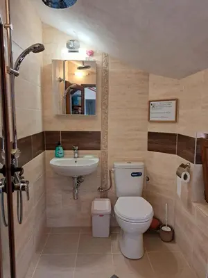 a bathroom with a toilet and a sink at River Garden in Beli Osŭm