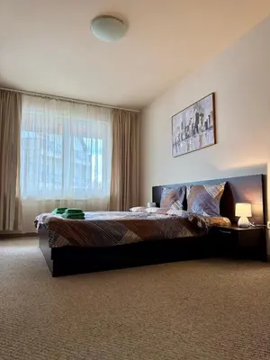 a bedroom with a large bed and a window at Gino's place Home2Host in Bansko