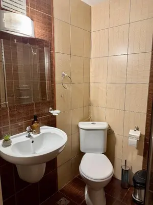a bathroom with a toilet and a sink at Gino's place 2 Home2Host in Bansko