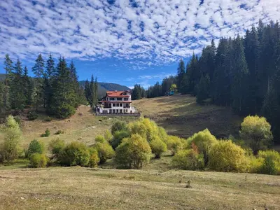 a house on top of a hill with trees at Daisy Forest in Borino