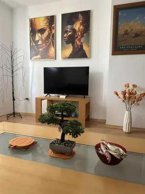 a living room with a tv and a bonsai tree at Borealis Apartment in Bansko