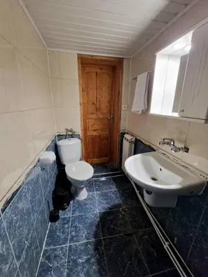 a bathroom with a toilet and a sink at The House in Stoykite