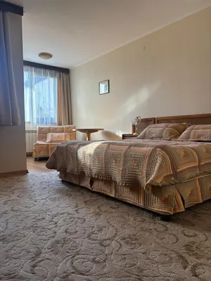 a hotel room with a large bed and a couch at Kalaydzhiev rooms in Bansko