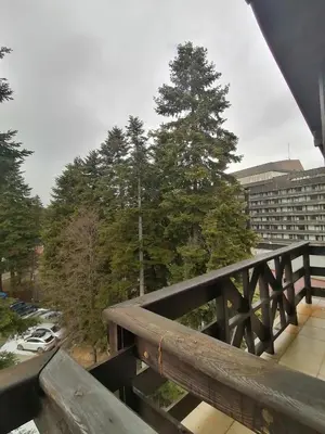 a view from the balcony of a building with a tree at Iglika 2, A13 & A14 in Borovets