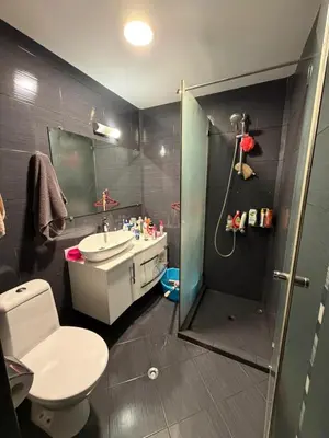 a bathroom with a shower and a toilet and a sink at Abdovica House in Sofia