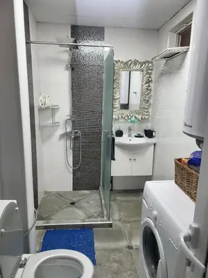 a bathroom with a shower and a washing machine at Cozy house in the heart of Pirin mountain in Razlog