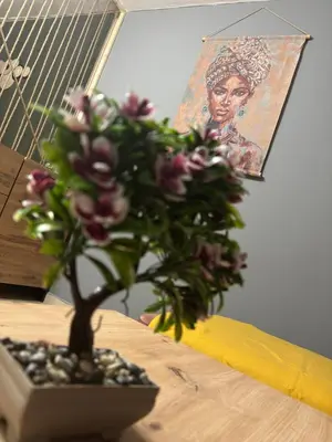 a potted plant on a table with a picture of a woman at Vitoshкa Urban Stay in Sofia