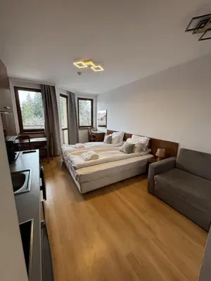 a living room with a bed and a couch at Villa Park Borovets in Borovets