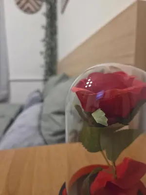 a red rose in a glass vase on a table at Smart Budget Stay at Sofia Centre by NDK and Vitosha Blvd in Sofia