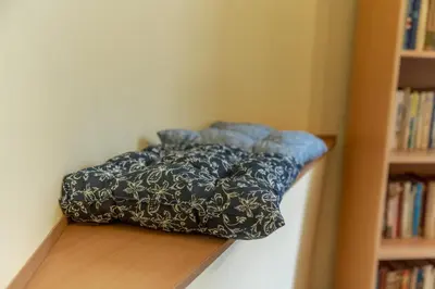a pillow sitting on a shelf next to a bookcase at Two Vintage Apartments by NDK and Vitosha Blvd with Free Parking in Sofia