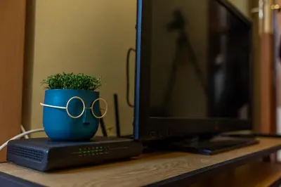a plant in a blue pot with glasses on a computer monitor at Two Vintage Apartments by NDK and Vitosha Blvd with Free Parking in Sofia