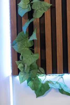 a green plant sitting on top of a table at Two Vintage Apartments by NDK and Vitosha Blvd with Free Parking in Sofia