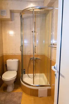 a bathroom with a shower and a toilet at Къща за гости Рилски рай in Samokov