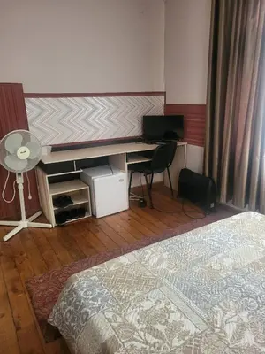 a bedroom with a desk with a bed and a desk at Hostel Alex 1 in Sofia