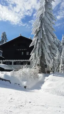 a snow covered christmas tree in front of a building at Villa Kalia in Borovets