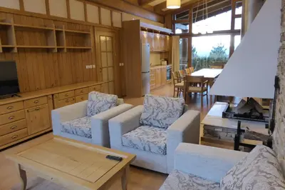 a living room with two chairs and a table at Pirin Nest Villa in Bansko