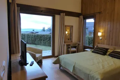 a bedroom with a bed and a tv and a window at Pirin Nest Villa in Bansko