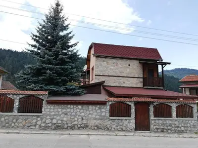 a house with a stone wall and a tree at Guest House Diva Reka in Beli Iskar