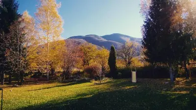 a grass field with trees and mountains in the background at Camping Verila in Sapareva Banya