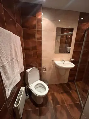 a bathroom with a toilet and a sink at Chepelare Holiday Guest House in Chepelare